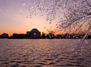 Dawn over the Jefferson Memorial in Washington DC