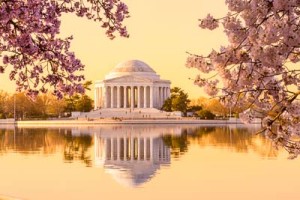 Golden glow at dawn in Washington DC