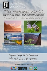 Opening Reception March 21st