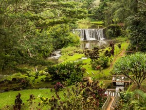 Historic Stone Dam on Wai Kai Loop trail