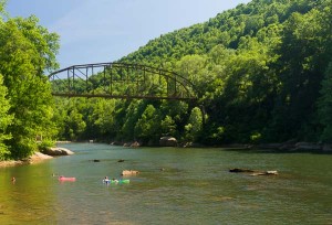 Swimmers in the Cheat River