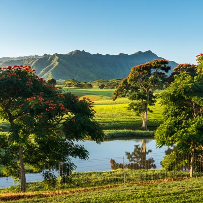Top 10 Instagrammable spots on Kauai
