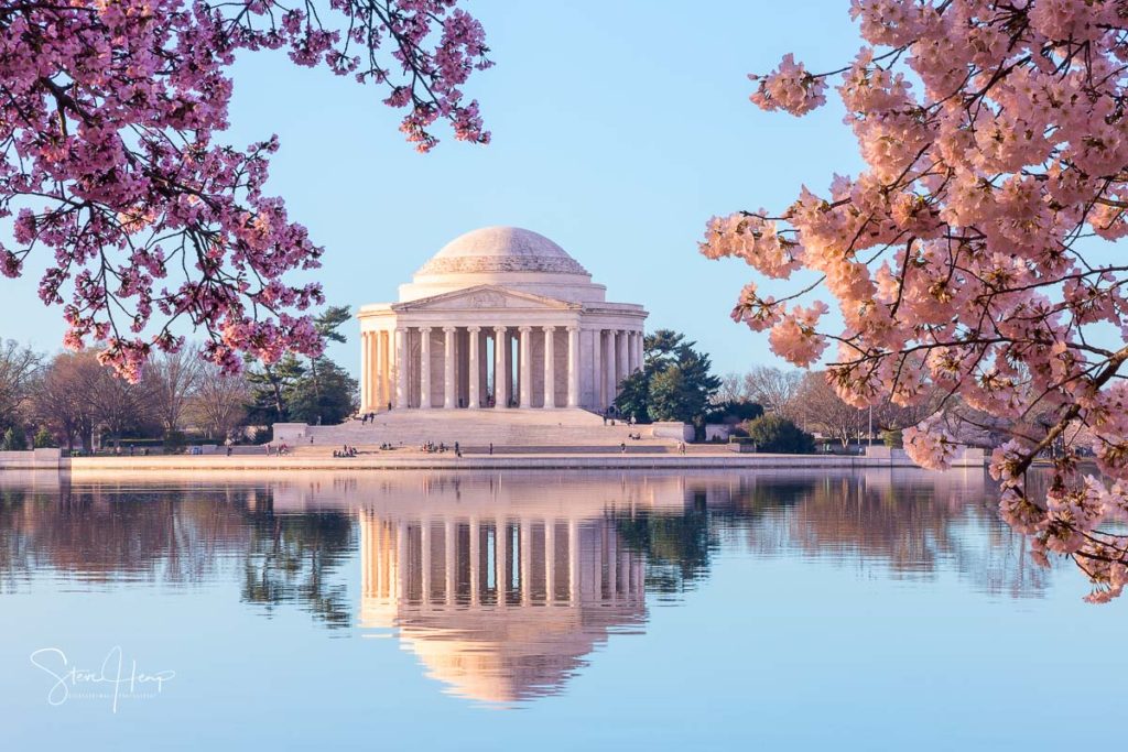 Stock Photo of the Jefferson Memorial in Washington DC surrounded by cherry blossoms at dawn