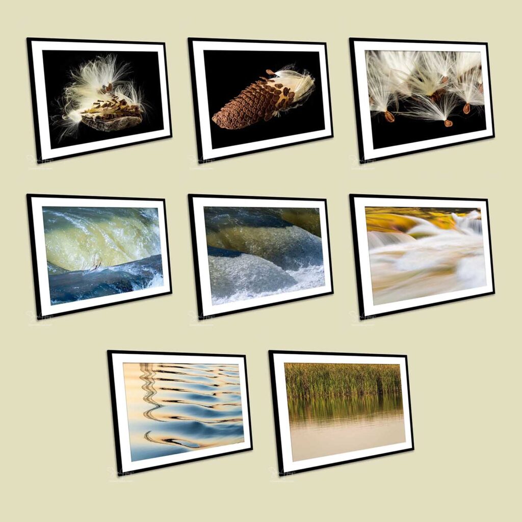 Eight framed photos purchased by Financial Services company for their offices