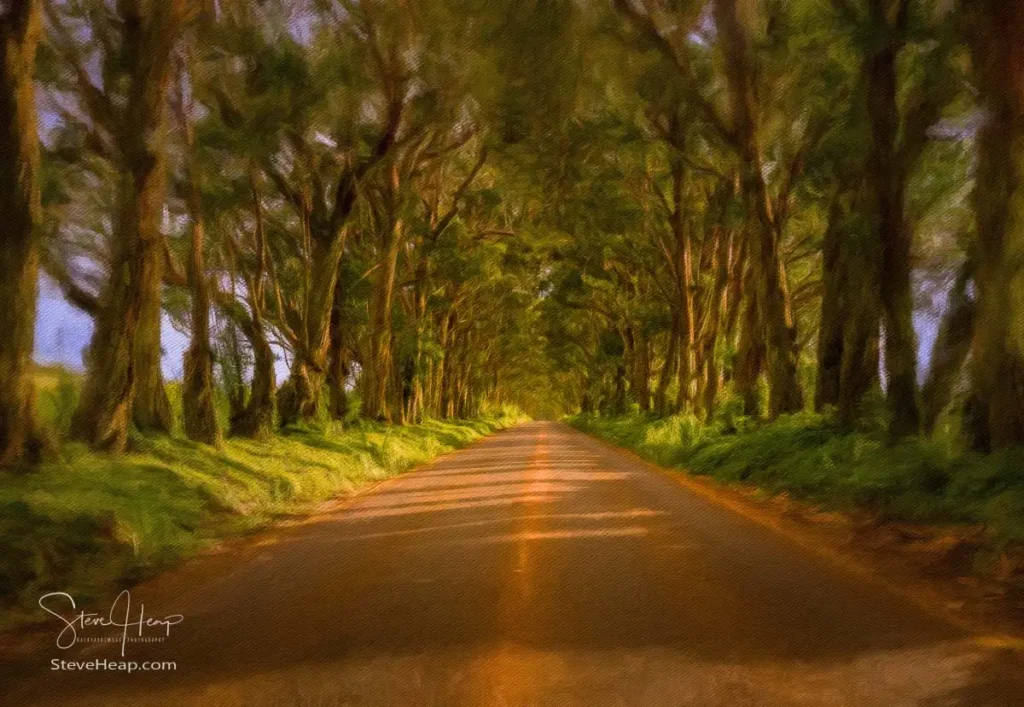 Digital painting of famous mile long tree tunnel of Eucalyptus trees along Maluhia Road to Koloa Town, Kauai Hawaii. Later afternoon sunlight gives a very peaceful view of this tree covered road