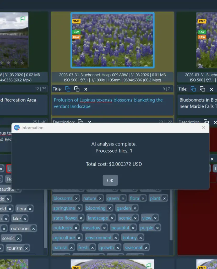 Returned metadata from AI model showing the cost of that specific run