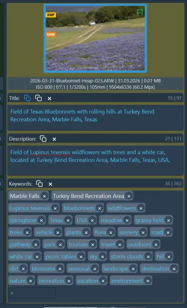 Example title, description and keywords