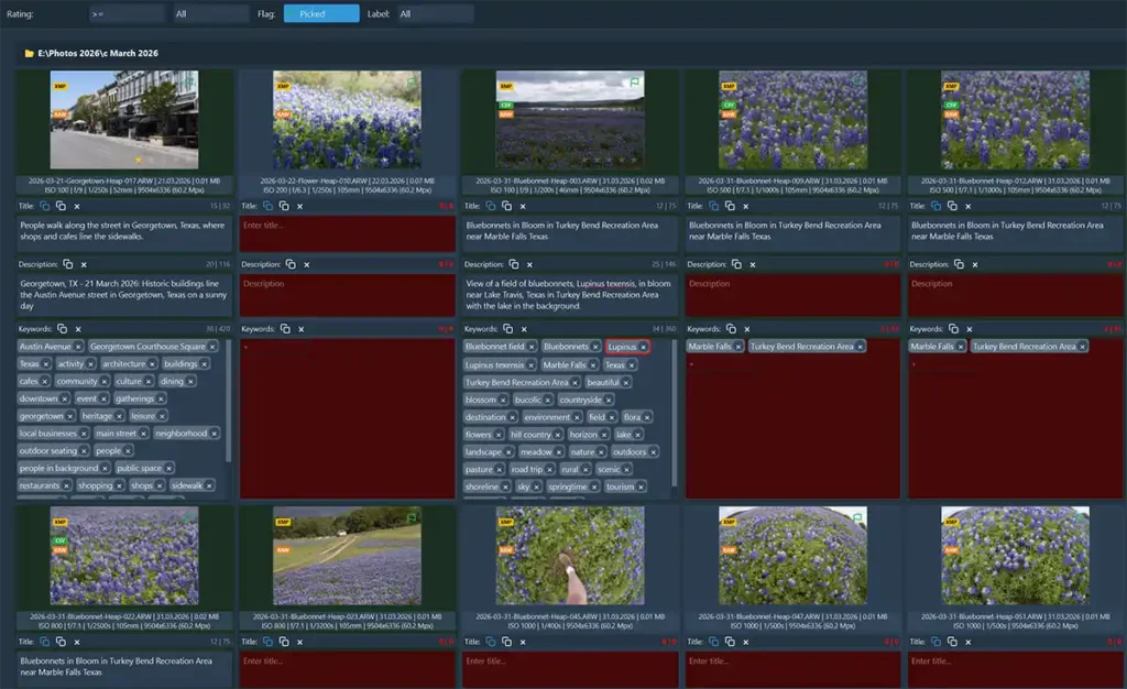 Flagged images ready for keywording including some that already had keywords applied from earlier keywording sessions