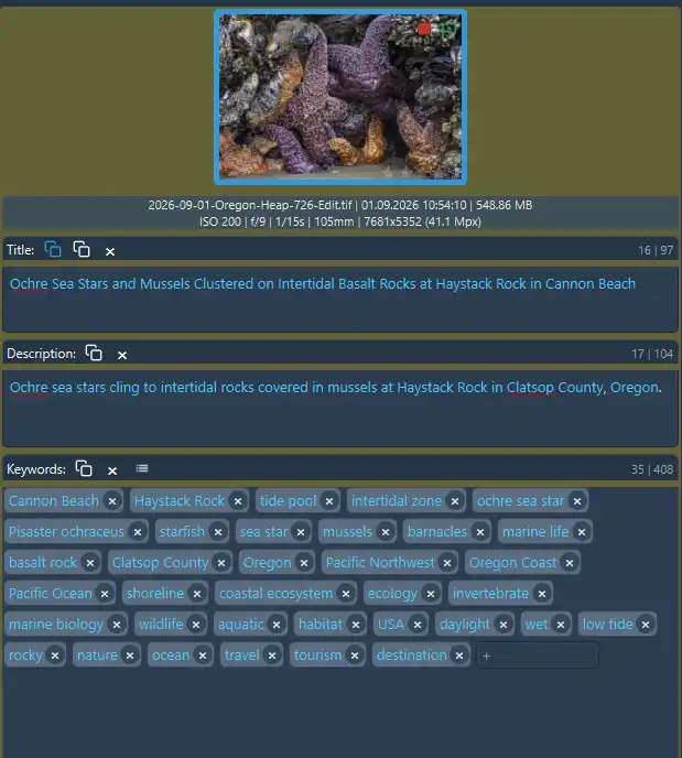 Example of the metadata produced by ArtushVision AI and the Gemini-3.8 model
